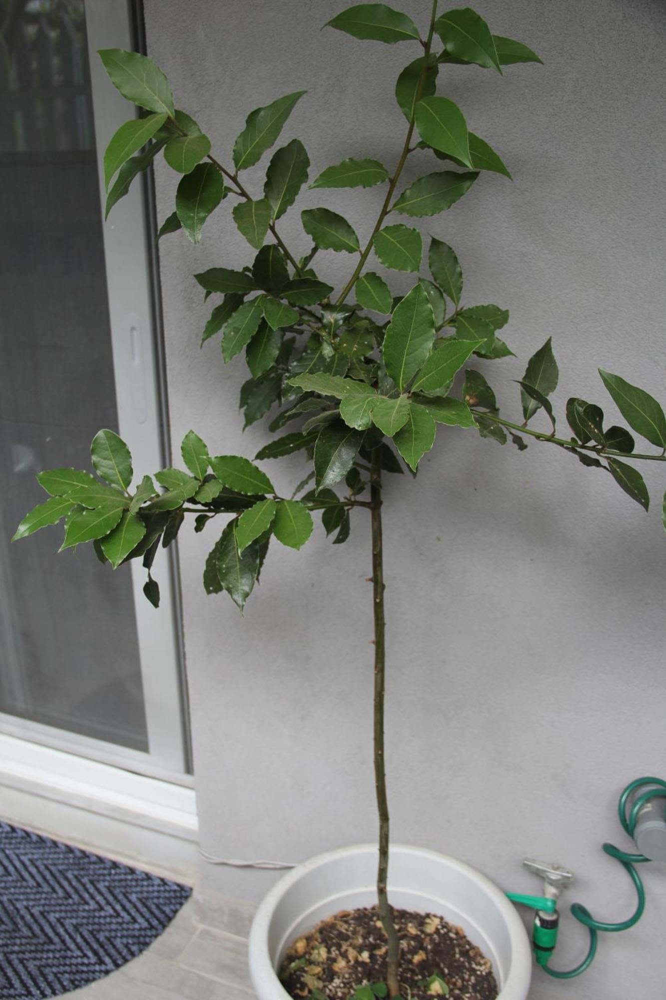 Apartment Patra Greece Exterior photo